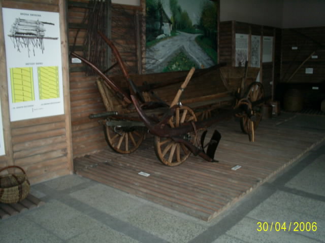 s5020307
