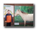 Kliknij aby powiekszyc