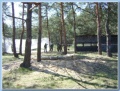 Kliknij, aby powiekszyc