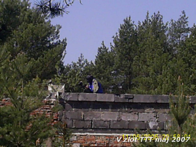 S5020387