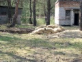 Kliknij, aby powiekszyc